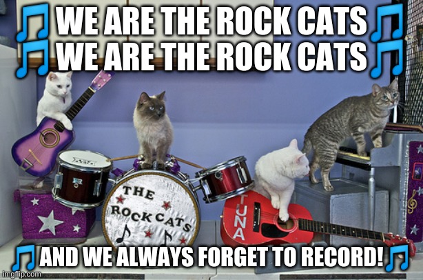 We are the Rock Cats! | 🎵WE ARE THE ROCK CATS🎵
🎵WE ARE THE ROCK CATS🎵; 🎵AND WE ALWAYS FORGET TO RECORD!🎵 | image tagged in cats,music | made w/ Imgflip meme maker