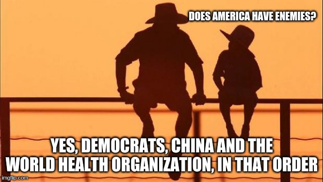 Cowboy Wisdom on America's enemies | DOES AMERICA HAVE ENEMIES? YES, DEMOCRATS, CHINA AND THE WORLD HEALTH ORGANIZATION, IN THAT ORDER | image tagged in cowboy father and son,cowboy wisdom,america's enemies,snowflakes made the list,democrats are communists,china is our enemy | made w/ Imgflip meme maker