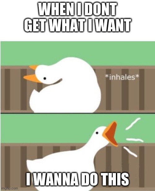 goose | WHEN I DONT GET WHAT I WANT; I WANNA DO THIS | image tagged in untitled goose game honk | made w/ Imgflip meme maker
