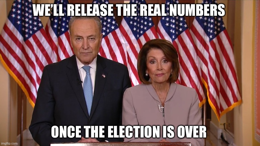 Chuck and Nancy | WE’LL RELEASE THE REAL NUMBERS ONCE THE ELECTION IS OVER | image tagged in chuck and nancy | made w/ Imgflip meme maker