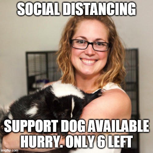 Social Distancing Support Dog Available | SOCIAL DISTANCING; SUPPORT DOG AVAILABLE
HURRY. ONLY 6 LEFT | image tagged in covid-19,coronavirus,skunk | made w/ Imgflip meme maker