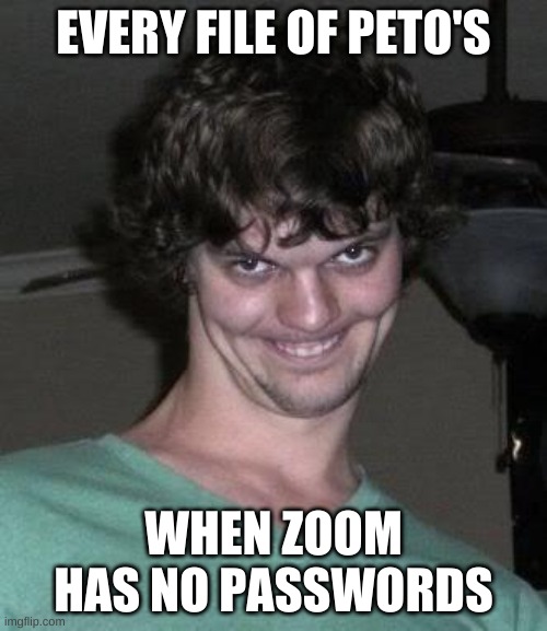 Creepy guy  | EVERY FILE OF PETO'S; WHEN ZOOM HAS NO PASSWORDS | image tagged in creepy guy | made w/ Imgflip meme maker