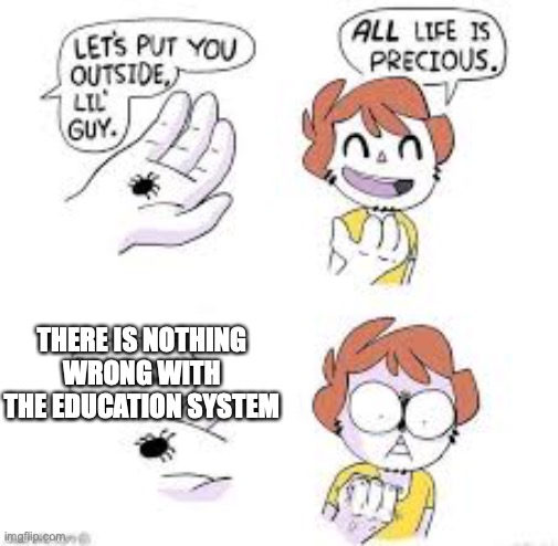 definatly nothing wrong with it | THERE IS NOTHING WRONG WITH THE EDUCATION SYSTEM | image tagged in school | made w/ Imgflip meme maker