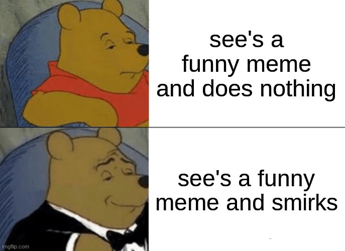 poooooooh | see's a funny meme and does nothing; see's a funny meme and smirks | image tagged in memes,tuxedo winnie the pooh | made w/ Imgflip meme maker