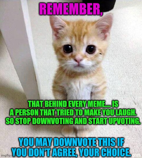 Just keep that in mind. | REMEMBER, THAT BEHIND EVERY MEME.... IS A PERSON THAT TRIED TO MAKE YOU LAUGH. SO STOP DOWNVOTING AND START UPVOTING. YOU MAY DOWNVOTE THIS IF YOU DON'T AGREE, YOUR CHOICE. | image tagged in memes,cute cat | made w/ Imgflip meme maker