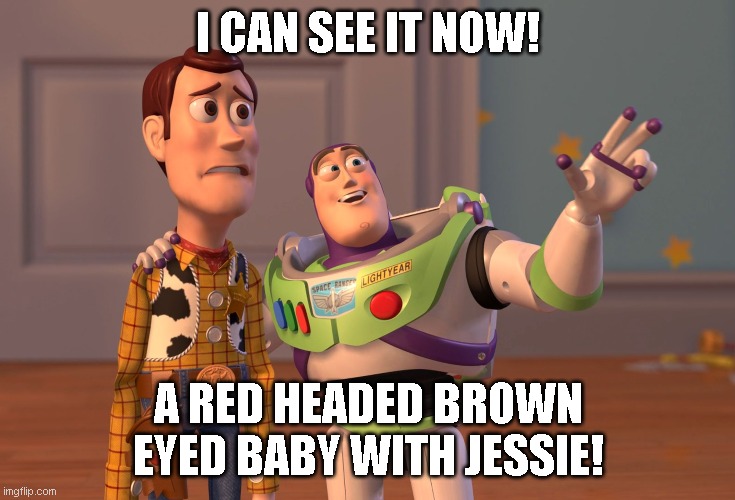 Woody and Buzz chatting | I CAN SEE IT NOW! A RED HEADED BROWN EYED BABY WITH JESSIE! | image tagged in memes,x x everywhere | made w/ Imgflip meme maker