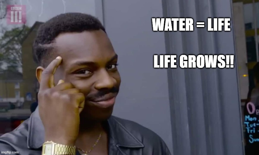 Eddie Murphy thinking | WATER = LIFE LIFE GROWS!! | image tagged in eddie murphy thinking | made w/ Imgflip meme maker