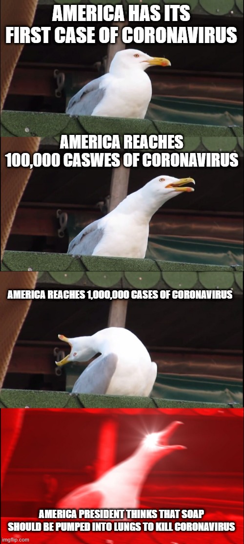 Inhaling Seagull | AMERICA HAS ITS FIRST CASE OF CORONAVIRUS; AMERICA REACHES 100,000 CASWES OF CORONAVIRUS; AMERICA REACHES 1,000,000 CASES OF CORONAVIRUS; AMERICA PRESIDENT THINKS THAT SOAP SHOULD BE PUMPED INTO LUNGS TO KILL CORONAVIRUS | image tagged in memes,inhaling seagull | made w/ Imgflip meme maker