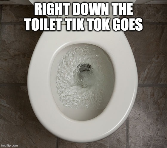 Toliet | RIGHT DOWN THE TOILET TIK TOK GOES | image tagged in toliet | made w/ Imgflip meme maker