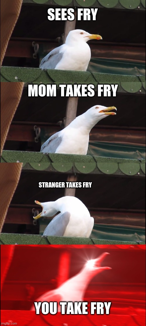 fry (i have no fun subs 0-0) | SEES FRY; MOM TAKES FRY; STRANGER TAKES FRY; YOU TAKE FRY | image tagged in memes,inhaling seagull | made w/ Imgflip meme maker