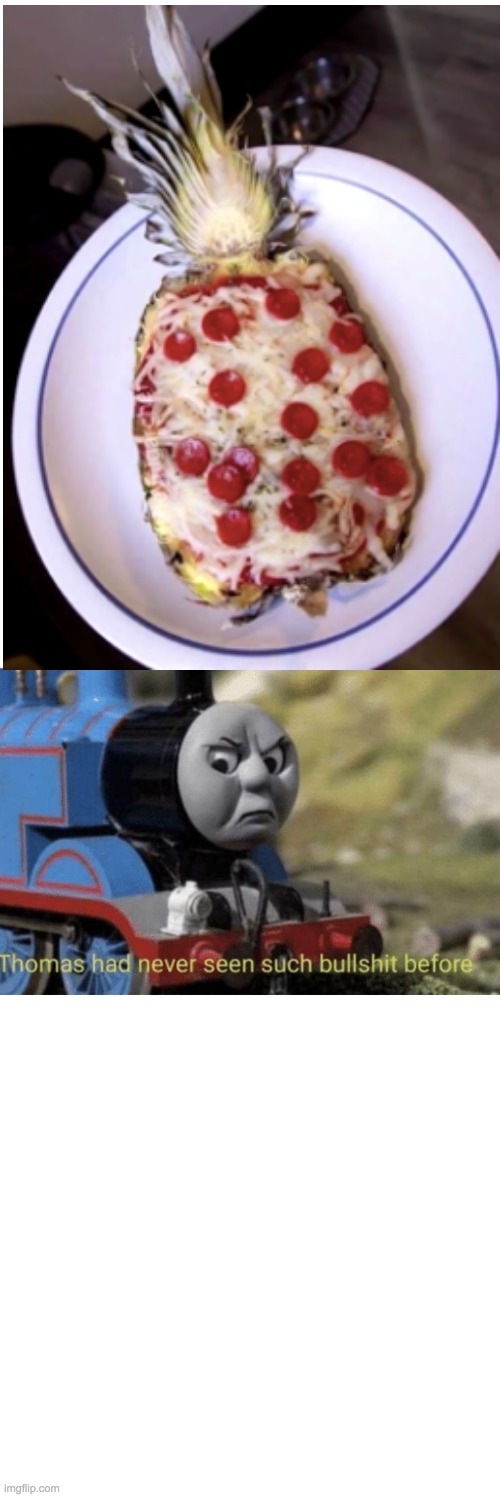 Pizza on pineapple makes me wanna throw up | image tagged in thomas has never seen such bullshit before | made w/ Imgflip meme maker