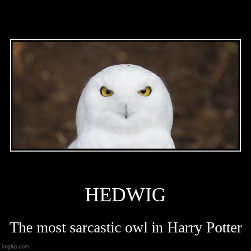 Give an upvote if this is true | image tagged in funny,demotivationals | made w/ Imgflip demotivational maker