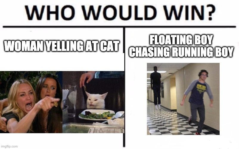 put answer in comments | WOMAN YELLING AT CAT; FLOATING BOY CHASING RUNNING BOY | image tagged in who would win,woman yelling at cat,floating boy chasing running boy | made w/ Imgflip meme maker
