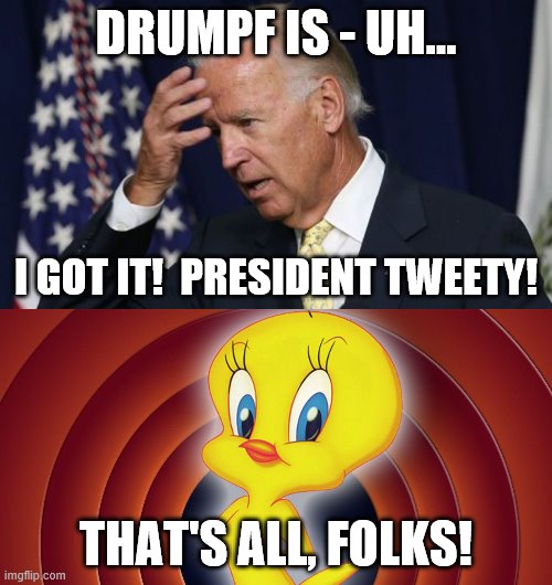 Although I'd love it if Trump would JUST DELETE HIS TWITTER ACCOUNT!!! | DRUMPF IS - UH... I GOT IT!  PRESIDENT TWEETY! THAT'S ALL, FOLKS! | image tagged in joe biden worries,memes,president tweety,biden,senile,creep | made w/ Imgflip meme maker