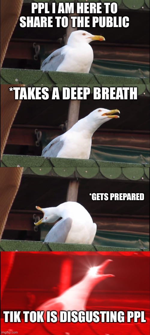 Inhaling Seagull Meme | PPL I AM HERE TO SHARE TO THE PUBLIC; *TAKES A DEEP BREATH; *GETS PREPARED; TIK TOK IS DISGUSTING PPL | image tagged in memes,inhaling seagull | made w/ Imgflip meme maker