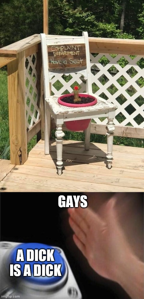 GAYS; A DICK IS A DICK | image tagged in memes,blank nut button | made w/ Imgflip meme maker
