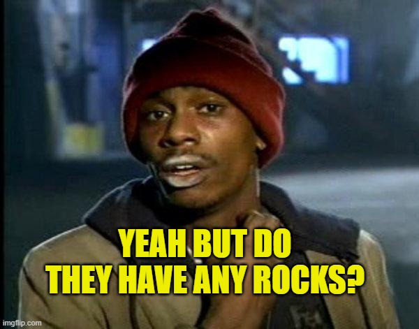dave chappelle | YEAH BUT DO THEY HAVE ANY ROCKS? | image tagged in dave chappelle | made w/ Imgflip meme maker