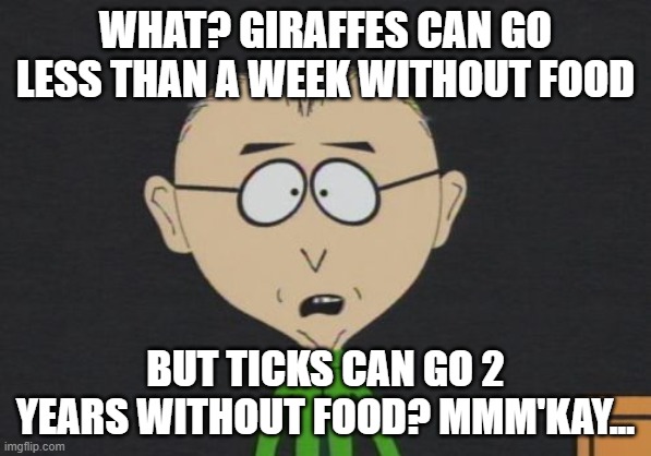 Mr MACKnfusion | WHAT? GIRAFFES CAN GO LESS THAN A WEEK WITHOUT FOOD; BUT TICKS CAN GO 2 YEARS WITHOUT FOOD? MMM'KAY... | image tagged in memes,mr mackey | made w/ Imgflip meme maker
