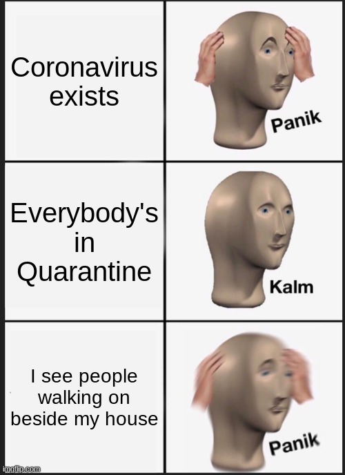 Panik Kalm Panik Meme | Coronavirus exists; Everybody's in Quarantine; I see people walking on beside my house | image tagged in memes,panik kalm panik | made w/ Imgflip meme maker
