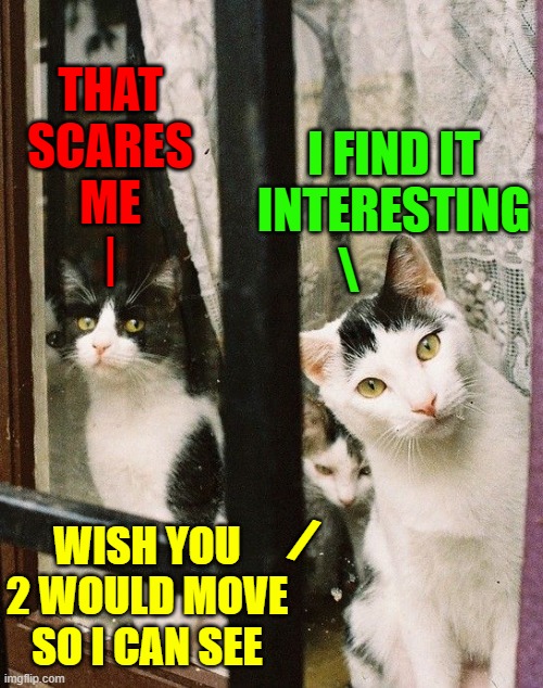 Cats: Bird Watching | THAT
SCARES
ME
|; I FIND IT INTERESTING; \; /; WISH YOU 2 WOULD MOVE SO I CAN SEE | image tagged in vince vance,cats,curiosity,funny cat memes,scared cat,kitten | made w/ Imgflip meme maker