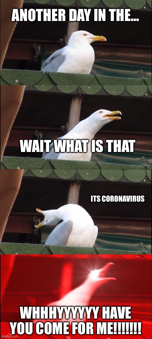 Seagulls with Coronavirus | ANOTHER DAY IN THE... WAIT WHAT IS THAT; ITS CORONAVIRUS; WHHHYYYYYY HAVE YOU COME FOR ME!!!!!!! | image tagged in memes,inhaling seagull | made w/ Imgflip meme maker