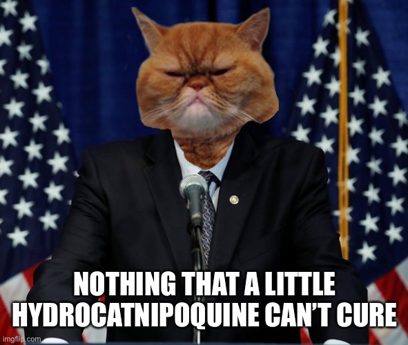 Cat Sanders | NOTHING THAT A LITTLE HYDROCATNIPOQUINE CAN’T CURE | image tagged in cat sanders | made w/ Imgflip meme maker