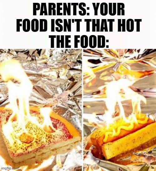 true | PARENTS: YOUR FOOD ISN'T THAT HOT
THE FOOD: | image tagged in funny memes,food | made w/ Imgflip meme maker