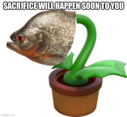 Whywhehweh | SACRIFICE WILL HAPPEN SOON TO YOU | made w/ Imgflip meme maker