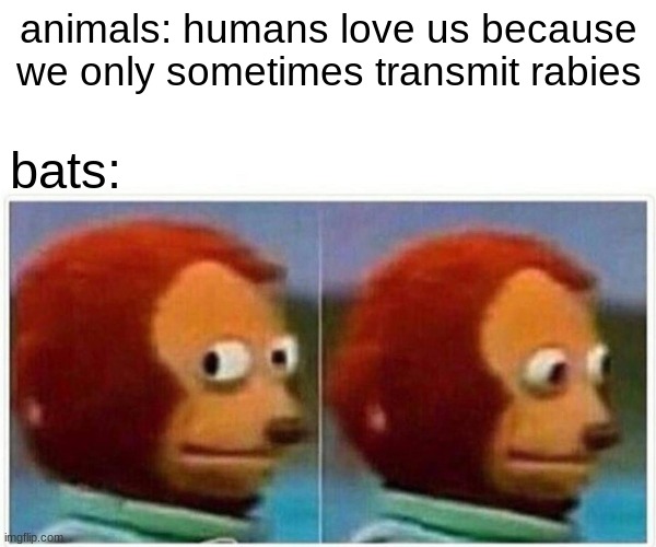 Monkey Puppet | animals: humans love us because we only sometimes transmit rabies; bats: | image tagged in memes,monkey puppet,bats,coronavirus,funny | made w/ Imgflip meme maker