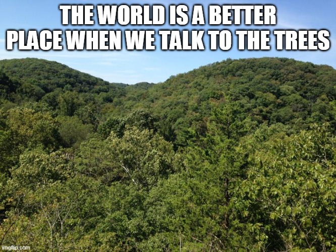 Talk to the trees | THE WORLD IS A BETTER PLACE WHEN WE TALK TO THE TREES | image tagged in trees,nature,the world,better place,peace,earth | made w/ Imgflip meme maker