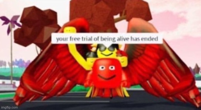 Roblox life expired | image tagged in roblox life expired | made w/ Imgflip meme maker