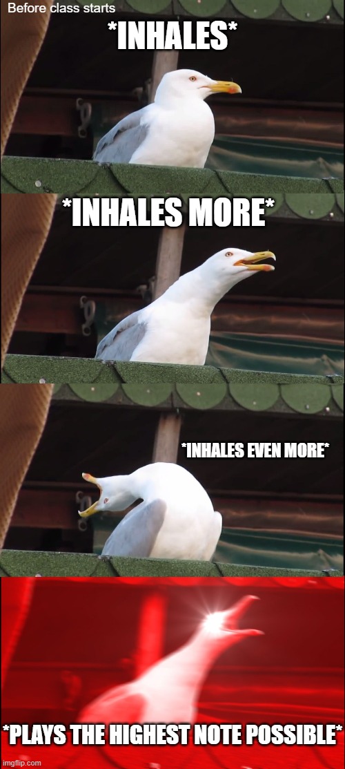 Inhaling Seagull Meme | Before class starts; *INHALES*; *INHALES MORE*; *INHALES EVEN MORE*; *PLAYS THE HIGHEST NOTE POSSIBLE* | image tagged in memes,inhaling seagull | made w/ Imgflip meme maker