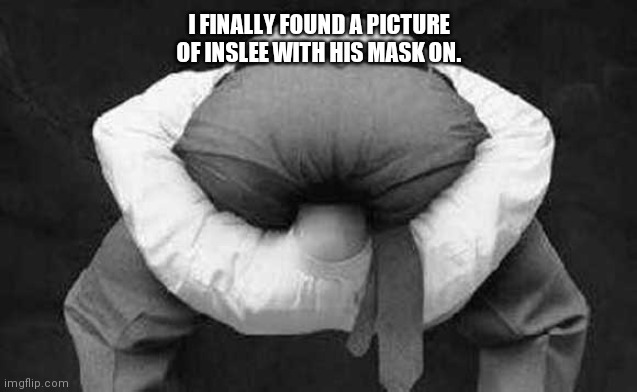 Head up ass  | I FINALLY FOUND A PICTURE OF INSLEE WITH HIS MASK ON. | image tagged in head up ass | made w/ Imgflip meme maker