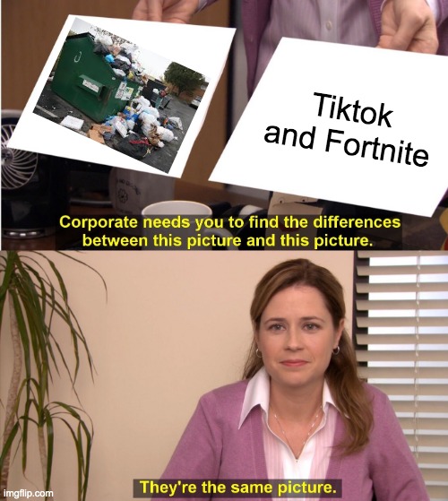 i had to add fortnite in there too | Tiktok and Fortnite | image tagged in memes,they're the same picture | made w/ Imgflip meme maker