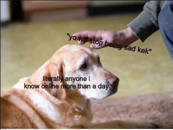 discord friends | "yo wtf stop being sad kek"; literally anyone i know online more than a day | image tagged in discord,dog,petting | made w/ Imgflip meme maker