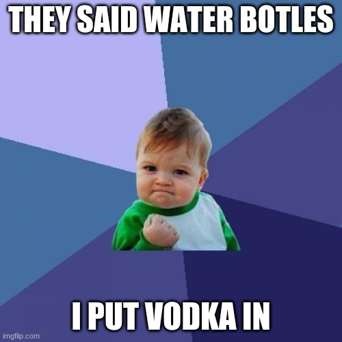 Success Kid | THEY SAID WATER BOTLES; I PUT VODKA IN | image tagged in memes,success kid | made w/ Imgflip meme maker