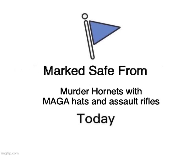 MAGA MURDER HORNETS | Murder Hornets with MAGA hats and assault rifles | image tagged in marked safe from,maga hats,assault rifles,murder hornets,bobcrespodotcom | made w/ Imgflip meme maker