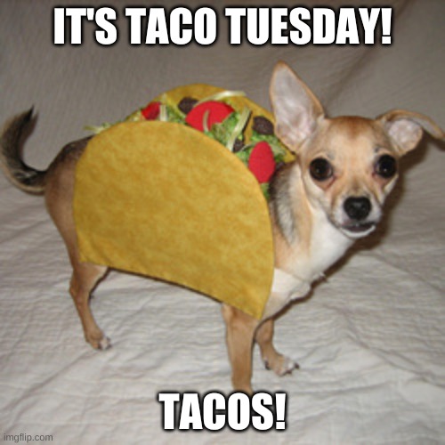 taco tuesday | IT'S TACO TUESDAY! TACOS! | image tagged in taco tuesday | made w/ Imgflip meme maker