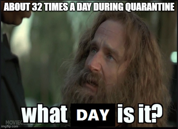 What Day is it | ABOUT 32 TIMES A DAY DURING QUARANTINE | image tagged in quarantine,humor | made w/ Imgflip meme maker
