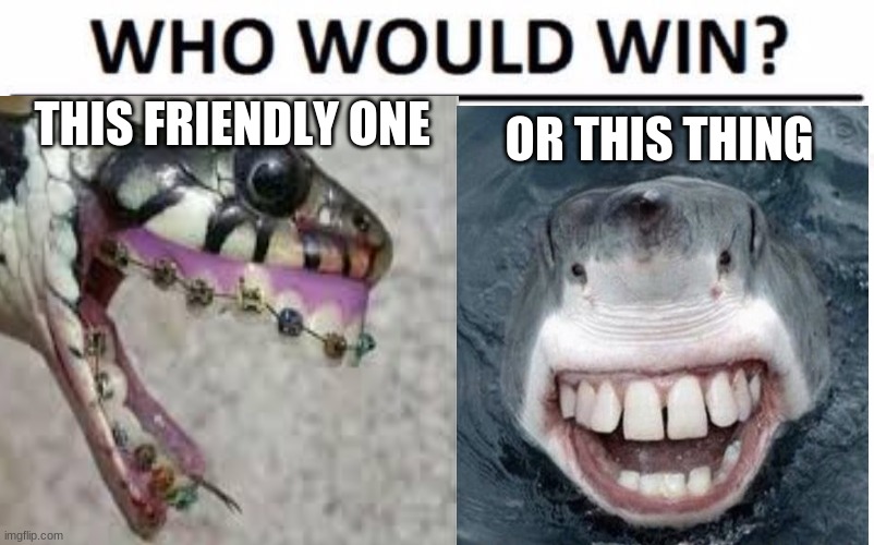 who would win | THIS FRIENDLY ONE; OR THIS THING | image tagged in memes | made w/ Imgflip meme maker