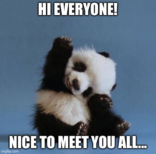 Panda | HI EVERYONE! NICE TO MEET YOU ALL... | image tagged in panda | made w/ Imgflip meme maker