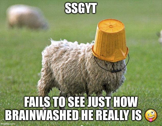 stupid sheep | SSGYT FAILS TO SEE JUST HOW BRAINWASHED HE REALLY IS ? | image tagged in stupid sheep | made w/ Imgflip meme maker