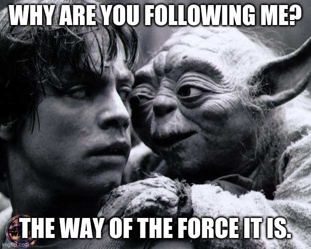 Yoda & Luke | WHY ARE YOU FOLLOWING ME? THE WAY OF THE FORCE IT IS. | image tagged in yoda  luke | made w/ Imgflip meme maker