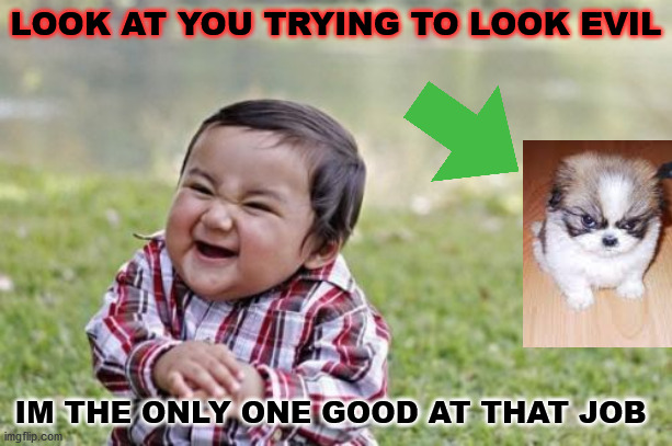 I'm the one good at being evil! | LOOK AT YOU TRYING TO LOOK EVIL; IM THE ONLY ONE GOOD AT THAT JOB | image tagged in memes,evil toddler | made w/ Imgflip meme maker