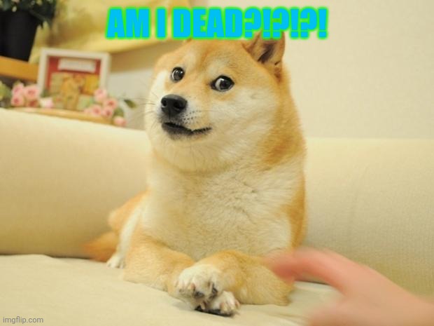 Dead meme. | AM I DEAD?!?!?! | image tagged in memes,doge 2 | made w/ Imgflip meme maker