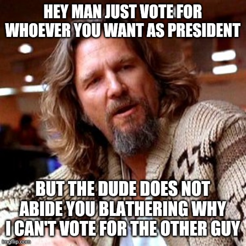 Voting is like fishing, the act does not guarantee a result you want. | HEY MAN JUST VOTE FOR WHOEVER YOU WANT AS PRESIDENT; BUT THE DUDE DOES NOT ABIDE YOU BLATHERING WHY I CAN'T VOTE FOR THE OTHER GUY | image tagged in memes,confused lebowski,politics,dude | made w/ Imgflip meme maker
