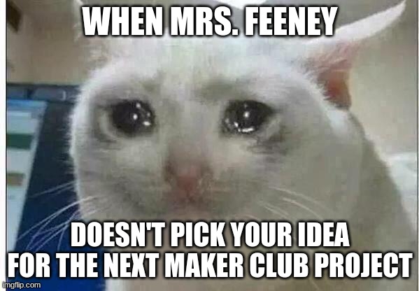 crying cat | WHEN MRS. FEENEY; DOESN'T PICK YOUR IDEA FOR THE NEXT MAKER CLUB PROJECT | image tagged in crying cat | made w/ Imgflip meme maker