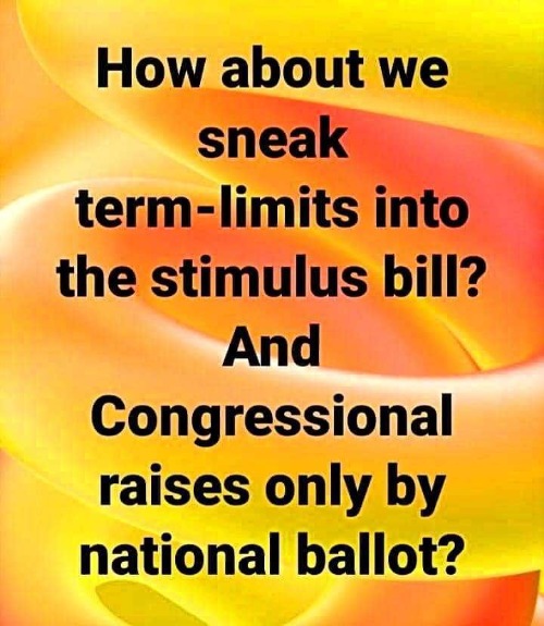 An idea whose time has come | image tagged in term limits,congressional raises,stimulus,we the people,government corruption,drain the swamp | made w/ Imgflip meme maker