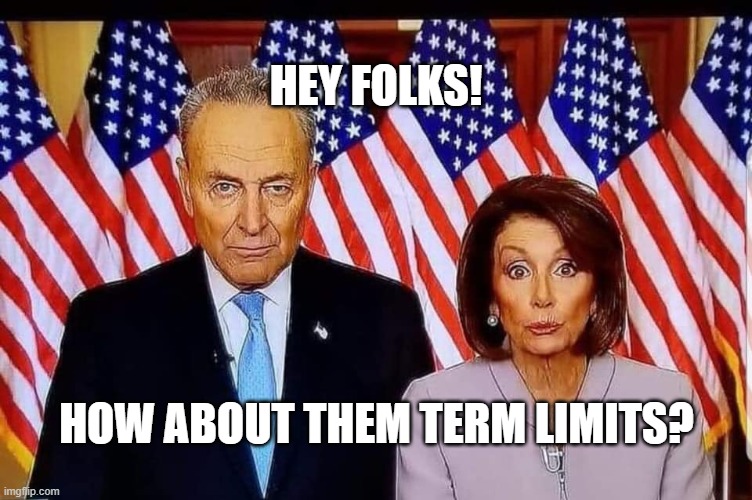 Chuck and Nancy | HEY FOLKS! HOW ABOUT THEM TERM LIMITS? | image tagged in chuck and nancy | made w/ Imgflip meme maker