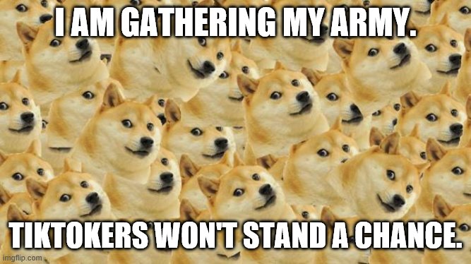 Multi Doge Meme | I AM GATHERING MY ARMY. TIKTOKERS WON'T STAND A CHANCE. | image tagged in memes,multi doge | made w/ Imgflip meme maker